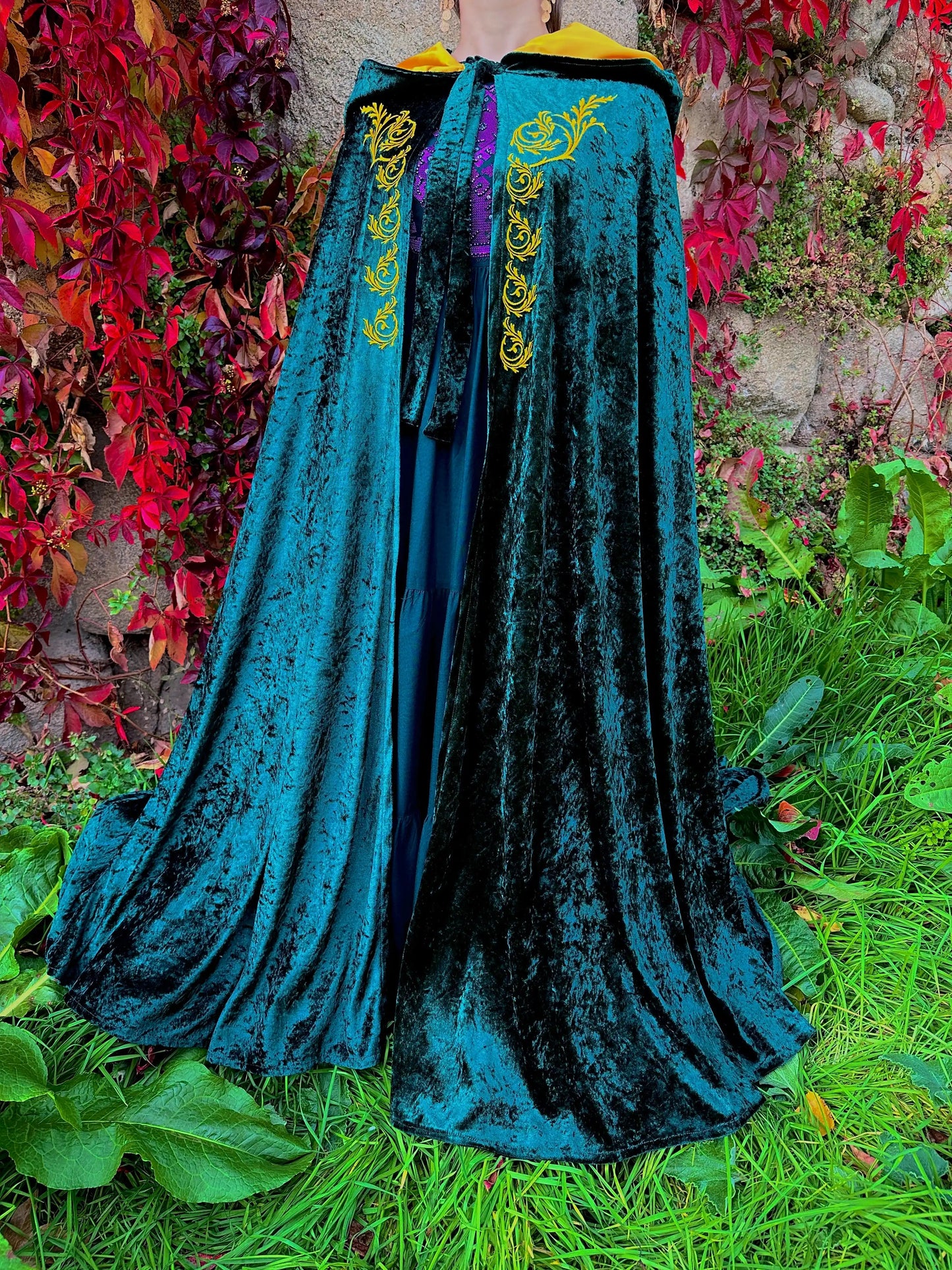 Blue velvet cloak with gold embroidery on a grassy background