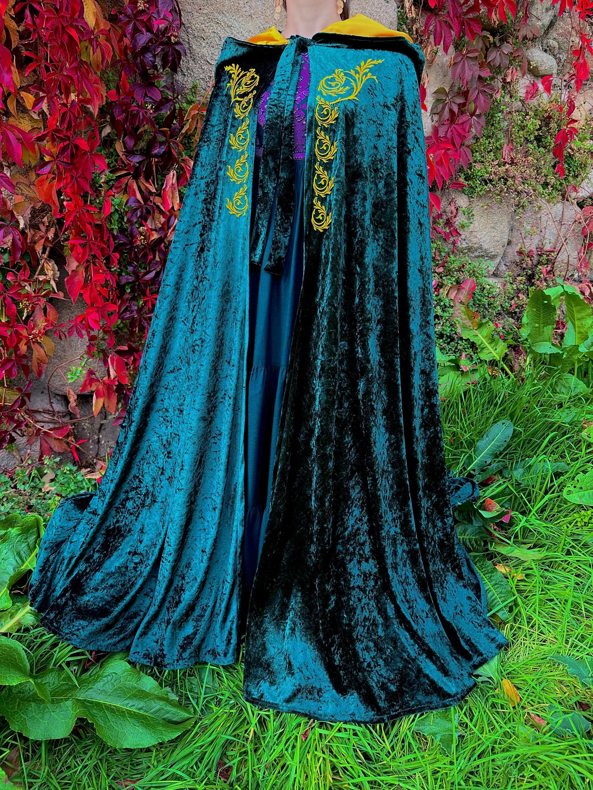 Blue velvet cloak with gold embroidery on a grassy background