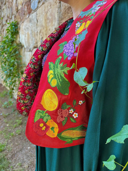 Traditional embroidered garment with colorful designs against a natural background