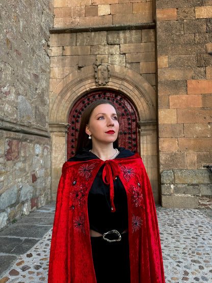 Crimson Web Cloak