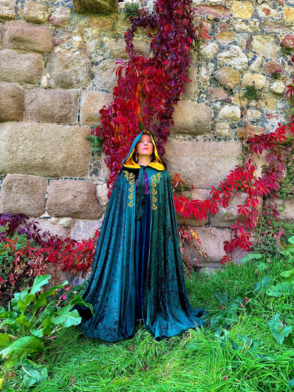 Person in a blue cloak standing in front of a stone wall with red foliage
