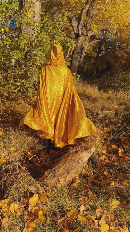Pharaoh's Cloak