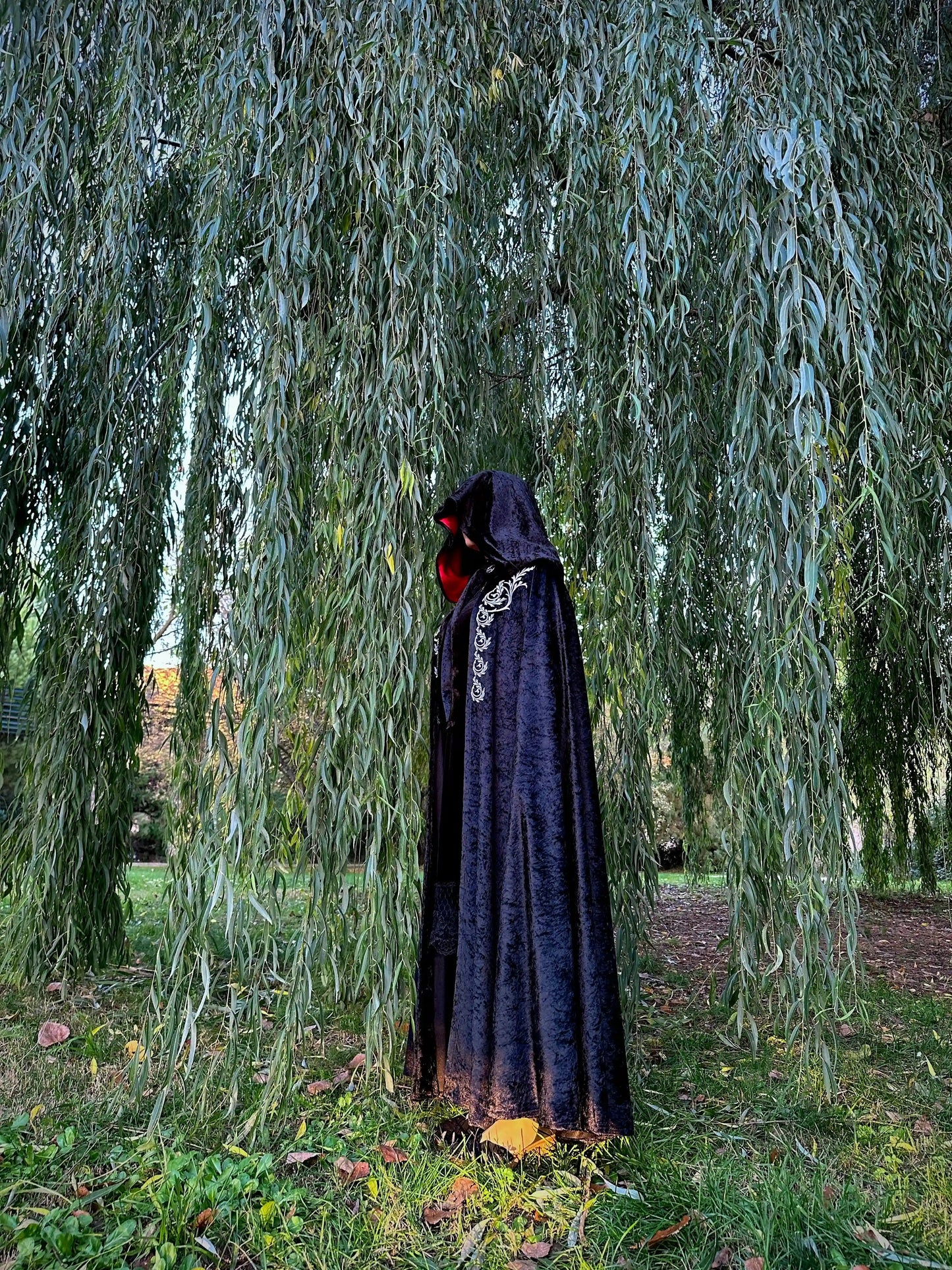 Person wearing a dark hooded cloak under a weeping willow tree