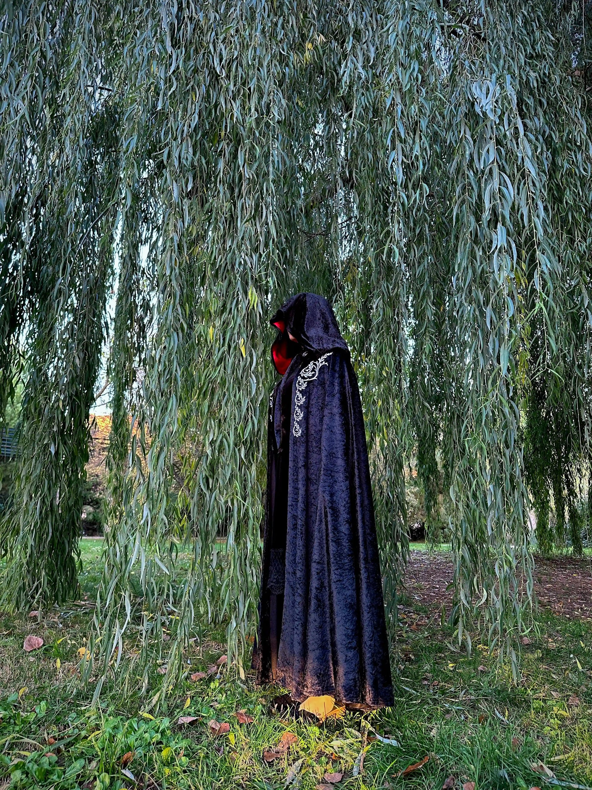 Person wearing a dark hooded cloak under a weeping willow tree