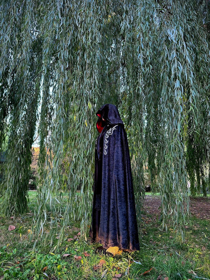 Person wearing a dark hooded cloak under a weeping willow tree